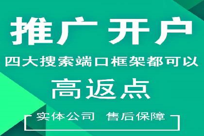 某品牌SEM广告投放效果全解析